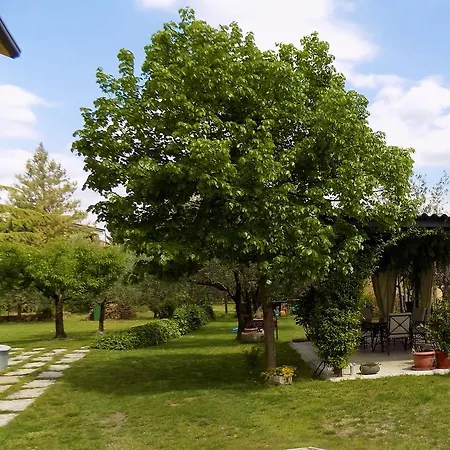 住宿加早餐酒店 杜阿尔奇住宿加早餐旅馆