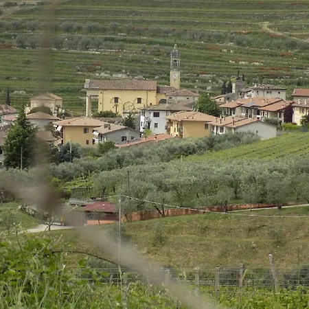 杜阿尔奇住宿加早餐旅馆