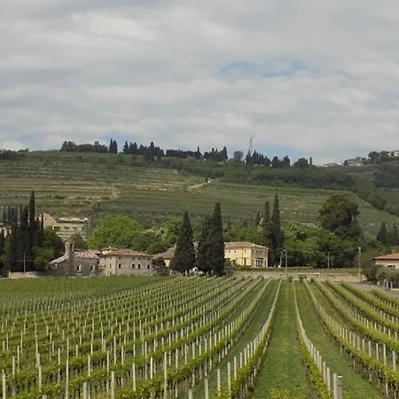 住宿加早餐酒店 杜阿尔奇住宿加早餐旅馆 SantʼAmbrogio di Valpolicella