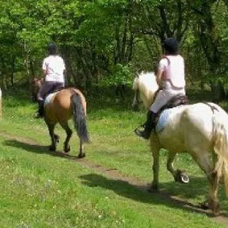 杜阿尔奇住宿加早餐旅馆 4*