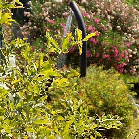 Due Archi Bed & Breakfast Sant'Ambrogio di Valpolicella