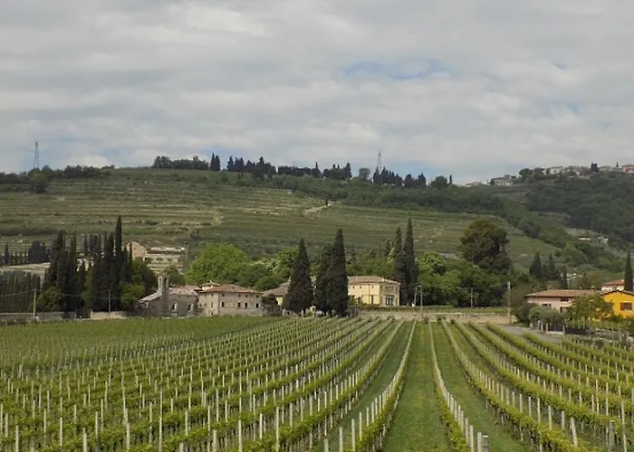 ベッド・アンド・ブレックファスト Due Archi SantʼAmbrogio di Valpolicella